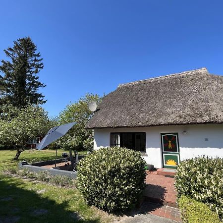 Villa Ferienhaus Ilva In Born Extérieur photo