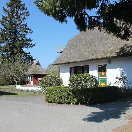 Villa Ferienhaus Ilva In Born Extérieur photo