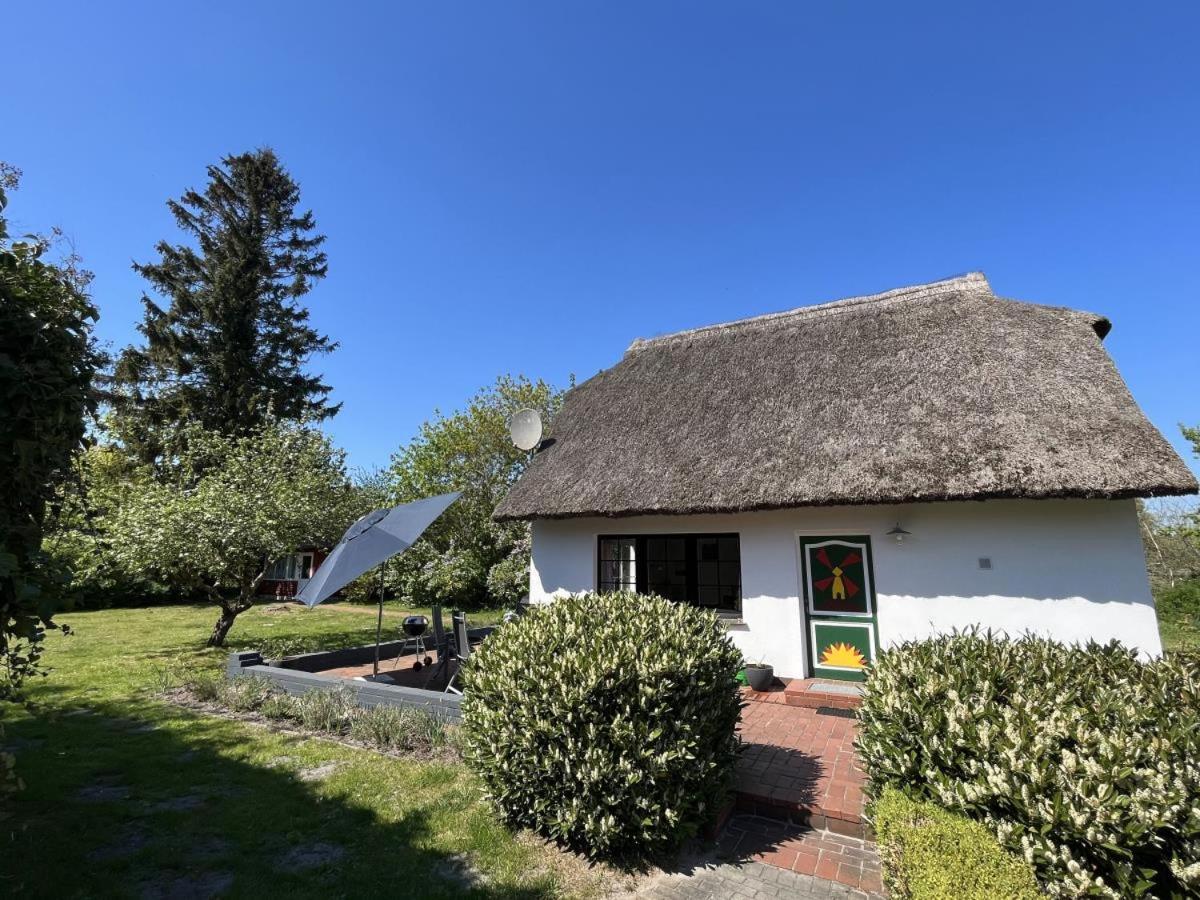 Villa Ferienhaus Ilva In Born Extérieur photo