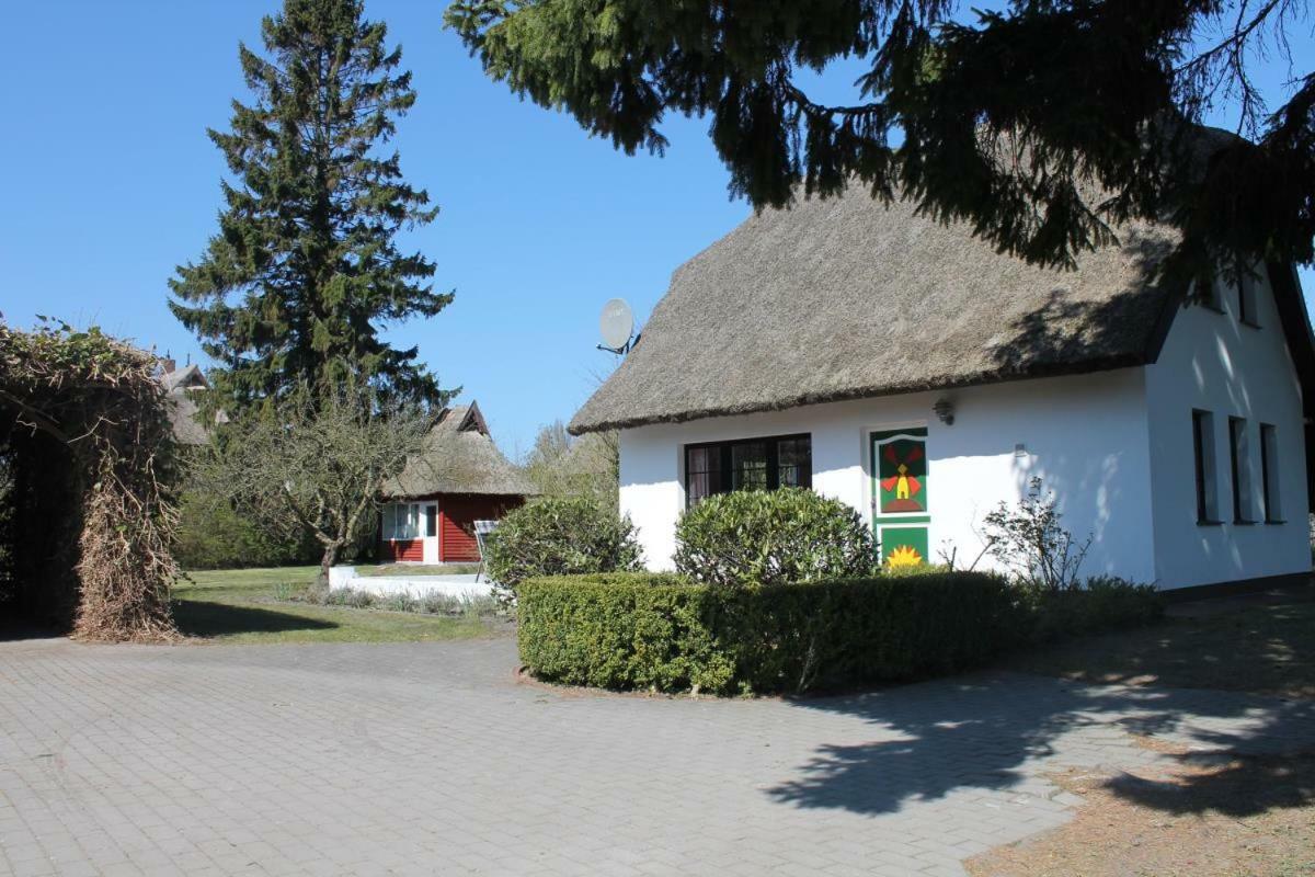 Villa Ferienhaus Ilva In Born Extérieur photo